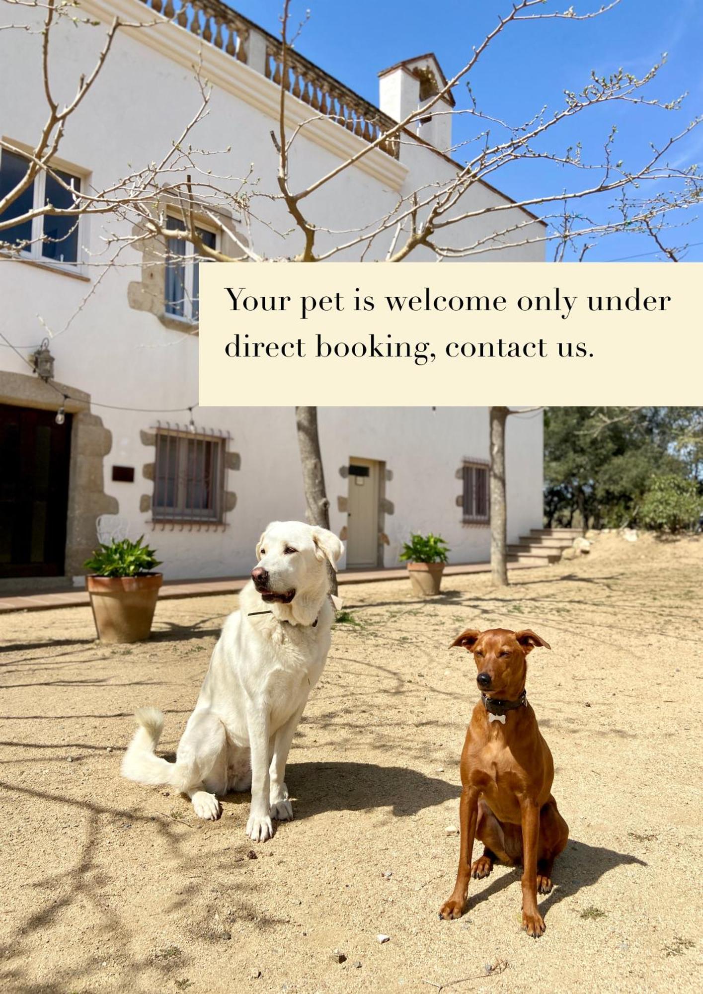 Ecoturisme Mas Ribas Hotel Palamos Ngoại thất bức ảnh